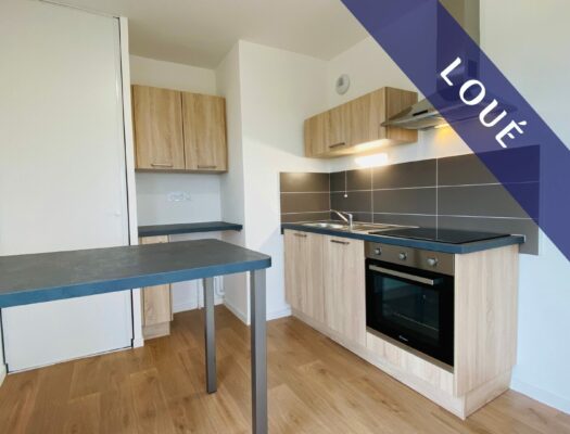 Appartement T2 récent de 46 m² et sa Terrasse de 32 m² - BREST