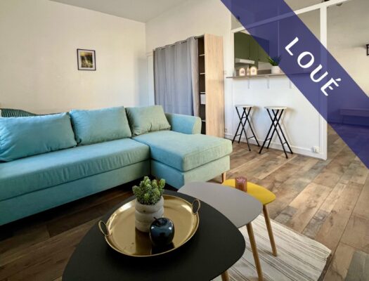 Grand studio meublé de 38 m²