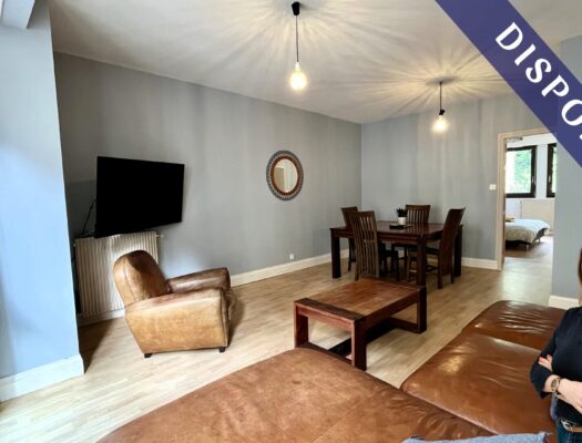 Appartement T3 meublé de 68 m² - Centre ville Historique