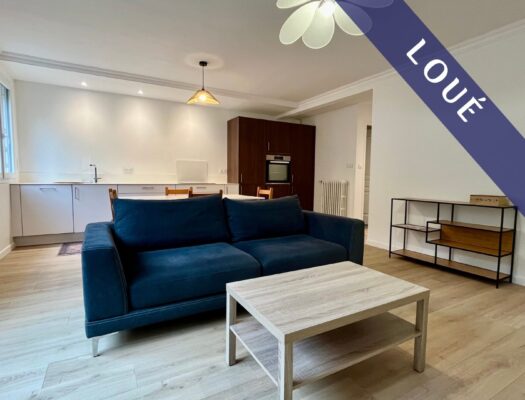 Grand T2 meublé de 54 m²